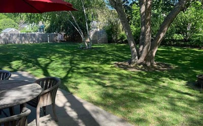 Photo of Anthony D.'s yard after getting lawn care in Allison Park, PA
