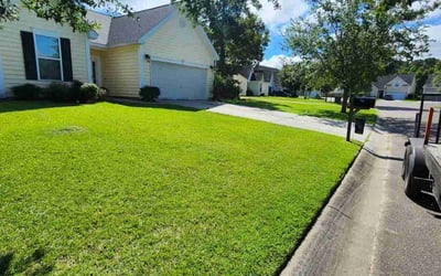Photo of Cassidy W.'s yard after getting lawn care in North Charleston, SC