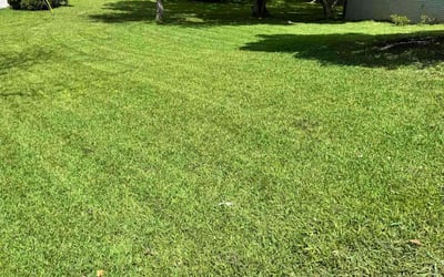 Photo of Christa P.'s yard after getting lawn care in Bristol, CT