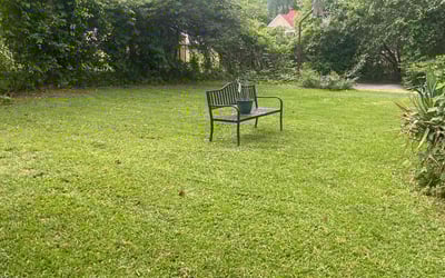Photo of Clare W.'s yard after getting lawn care in West Columbia, SC