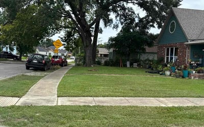 Photo of Lucretia M.'s yard after getting lawn care in Chicago, IL