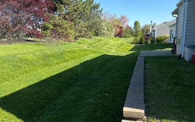 Photo of Jennie M.'s yard after getting lawn care in Seaford, DE