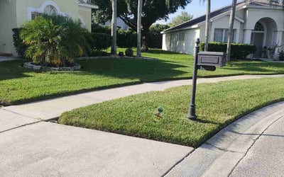 Photo of Sunil N.'s yard after getting lawn care in Homosassa, FL