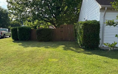 Photo of Melissa V.'s yard after getting lawn care in Allentown, PA