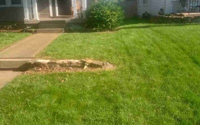 Photo of Kim P.'s yard after getting lawn care in Rockville Centre, NY