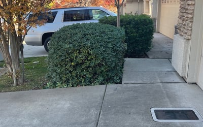 Photo of Antwone S.'s yard after getting lawn care in Riverdale, GA