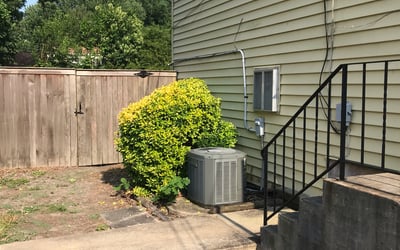Photo of Nicole W.'s yard after getting tree care in Springfield, MO