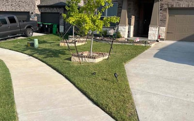 Photo of Ally M.'s yard after getting lawn care in Belmar, NJ