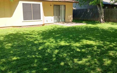 Photo of Tywun H.'s yard after getting lawn care in Floresville, TX