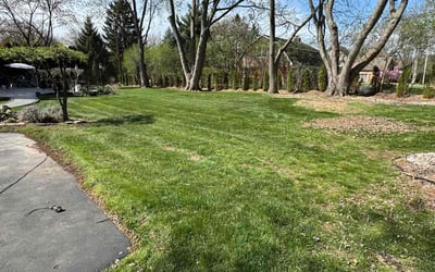 Photo of Cherie W.'s yard after getting lawn care in Bloomfield Hills, MI