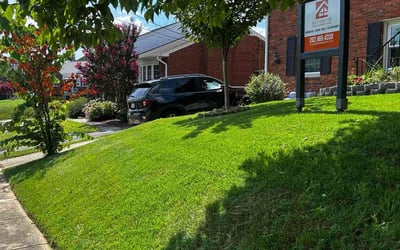 Photo of Beth T.'s yard after getting lawn care in Ventura, CA