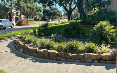 Photo of Hannah J.'s yard after getting lawn care in Brownsville, TX