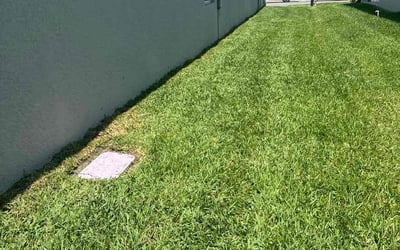 Photo of Chad G.'s yard after getting lawn care in Sanford, ME