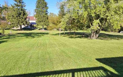 Photo of Michael M.'s yard after getting lawn care in Ambridge, PA