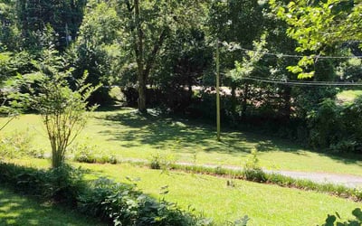 Photo of Patricia C.'s yard after getting lawn care in Los Banos, CA