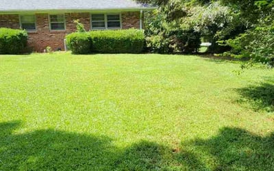 Photo of Brett K.'s yard after getting lawn care in Stone Mountain, GA