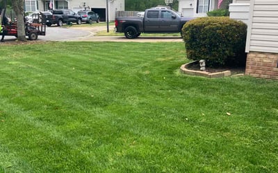 Photo of Jojo A.'s yard after getting lawn care in Eagle Mountain, UT