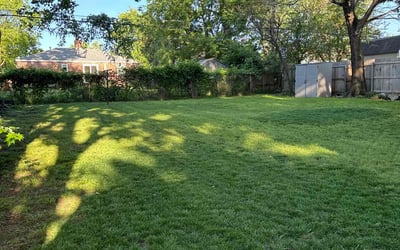 Photo of Ron R.'s yard after getting lawn care in Okmulgee, OK