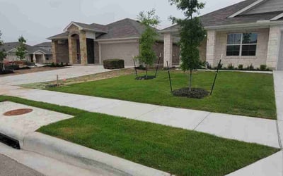Photo of Natalie S.'s yard after getting lawn care in Hutto, TX