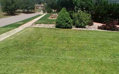 Photo of Kim P.'s yard after getting lawn care in Peyton, CO