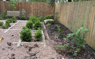 Photo of Deanna G.'s yard after getting lawn care in Burnsville, MN