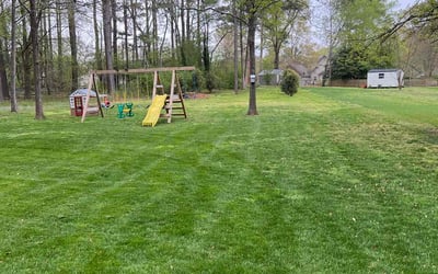Photo of Jared S.'s yard after getting lawn care in Spartanburg, SC
