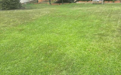 Photo of Adrian E.'s yard after getting lawn care in Duluth, GA