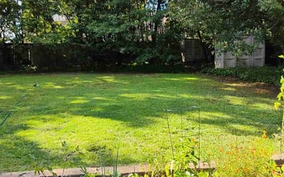 Photo of Pat P.'s yard after getting lawn care in Greenville, SC