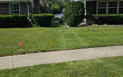 Photo of Jacob T.'s yard after getting lawn care in Conway, AR