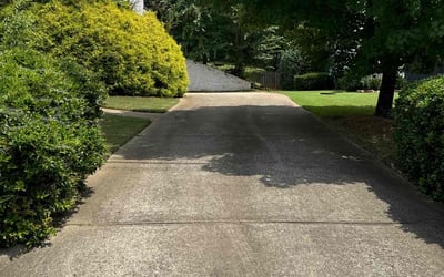 Photo of Brian J.'s yard after getting lawn care in Woodstock, GA