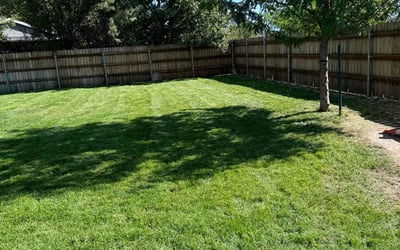 Photo of Diana L.'s yard after getting lawn care in West Jordan, UT
