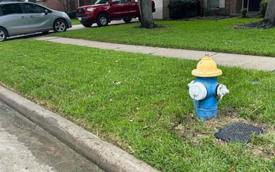 Photo of Aiesha P.'s yard after getting lawn care in Blythe, CA