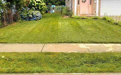 Photo of Jim K.'s yard after getting lawn care in Elmwood Park, NJ