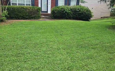 Photo of Gabriel V.'s yard after getting lawn care in Lithonia, GA