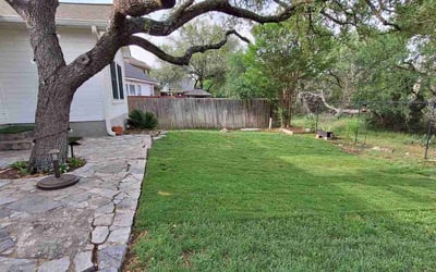 Photo of Rachel S.'s yard after getting lawn care in San Antonio, TX
