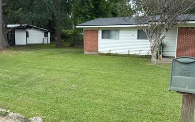 Photo of Laura M.'s yard after getting lawn care in Lafayette, LA