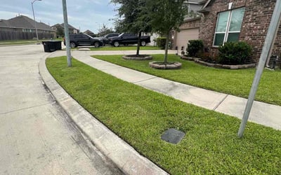 Photo of Judy P.'s yard after getting lawn care in Rock Hill, SC