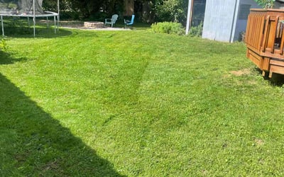 Photo of Patrick V.'s yard after getting lawn care in Fayetteville, NY