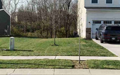 Photo of Dawn S.'s yard after getting lawn care in East Syracuse, NY