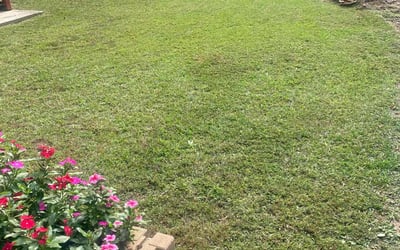 Photo of Jory B.'s yard after getting lawn care in Atlanta, GA