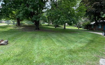 Photo of Weston H.'s yard after getting lawn care in Farmington Hills, MI