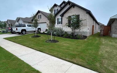 Photo of Laura b.'s yard after getting lawn care in New Braunfels, TX