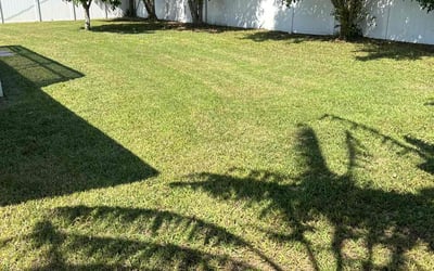 Photo of Chris B.'s yard after getting lawn care in Fort Myers Beach, FL