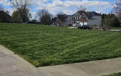 Photo of Felicia C.'s yard after getting lawn care in Harrisburg, NC