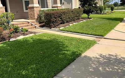 Photo of Luanne R.'s yard after getting lawn care in Denison, TX