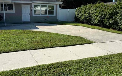 Photo of Christy C.'s yard after getting lawn care in Fort Lauderdale, FL