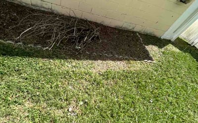 Photo of Melanie B.'s yard after getting lawn care in Mount Juliet, TN