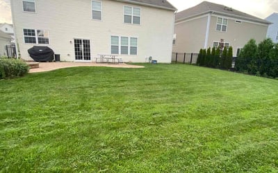 Photo of Barbara P.'s yard after getting lawn care in Endicott, NY