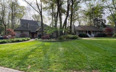 Photo of Laurie C.'s yard after getting lawn care in Candler, NC