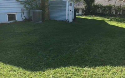 Photo of Kelly L.'s yard after getting lawn care in Maple Shade, NJ